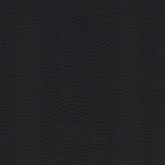 600521001 ZEUS NEGRO