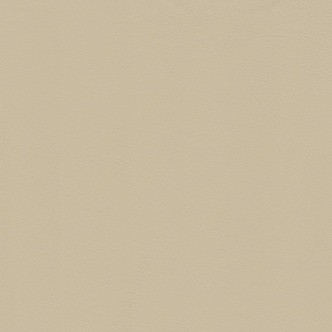 600520002 FLORIDA BEIG